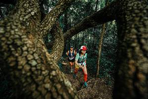 BIB: 
                            <button type="button" onclick="openModal(25670295)" class="btn btn-primary btn-sm float-right btn-popup" data-toggle="modal" data-target=".modal-high-quality">
                        <i class="fas fa-shopping-cart"></i> Add to Cart
                    </button>
                                            <button type="button" onclick="isThisMe(25670295, true)" class="btn btn-success btn-sm float-right btn-popup btn-isme hidden" data-toggle="tooltip" data-placement="bottom" title="นี่คือรูปของคุณใช่ไหม คลิกที่นี่เพื่อเอาเข้าอัลบั้ม">
                        <i class="fas fa-plus"></i> Add to album
                    </button>
                    <button type="button" onclick="isThisMe(25670295, false)" class="btn btn-warning btn-sm float-right btn-popup btn-isnotme hidden">
                        <i class="fas fa-ban"></i> Remove from album
                    </button>